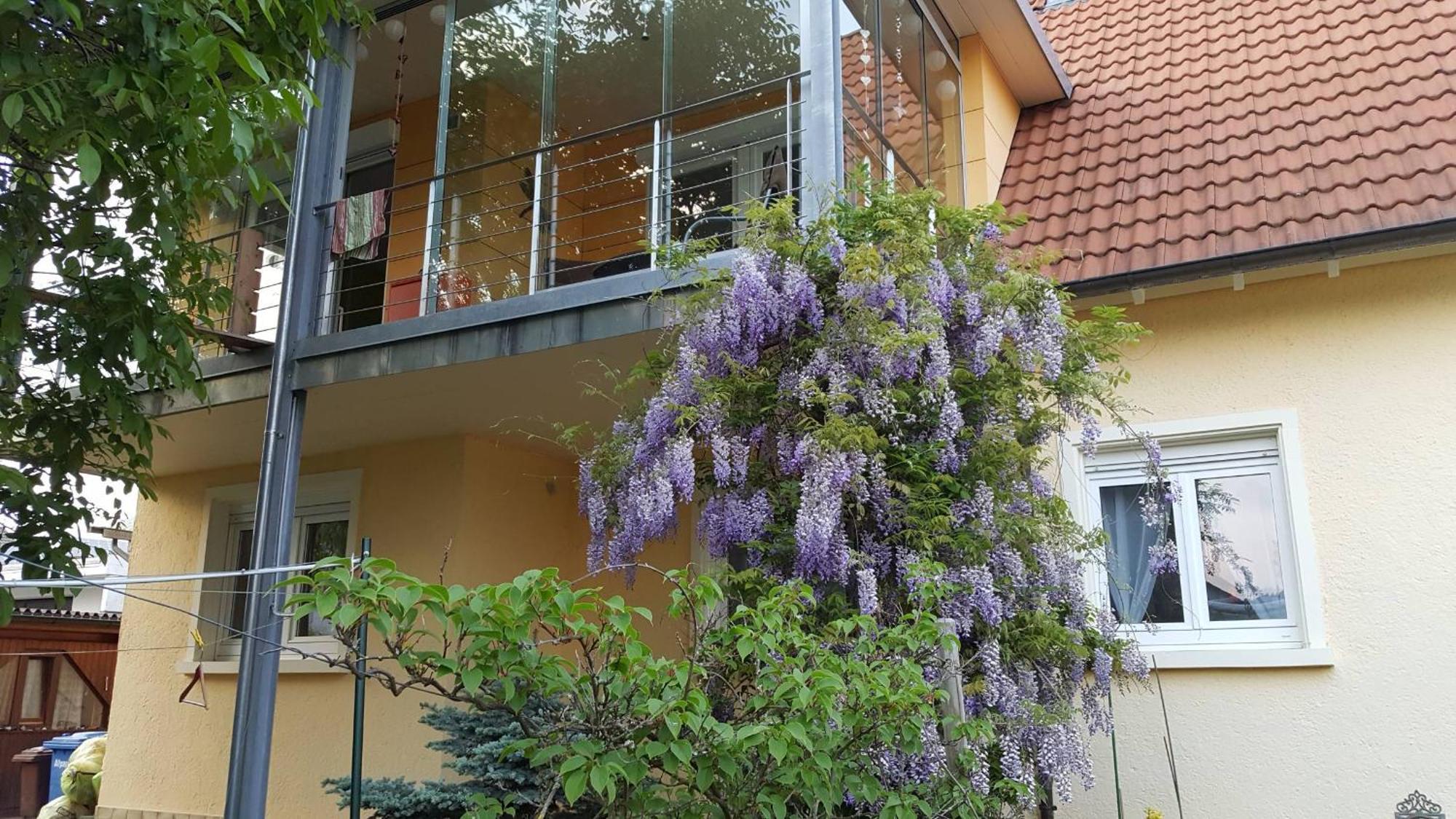 Ferienwohnung Miezerle Steisslingen Extérieur photo